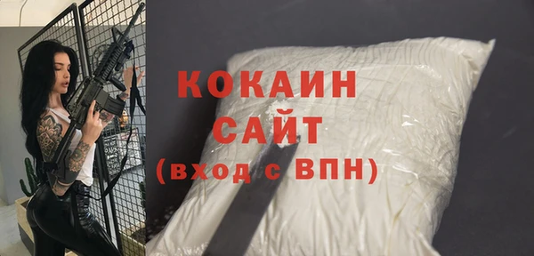 шишки Верея