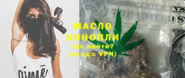 шишки Надым
