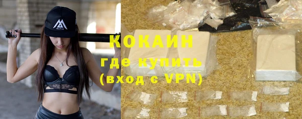 шишки Верея