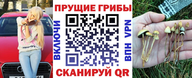 закладка  Гулькевичи  блэк спрут вход  Псилоцибиновые грибы Psilocybine cubensis 