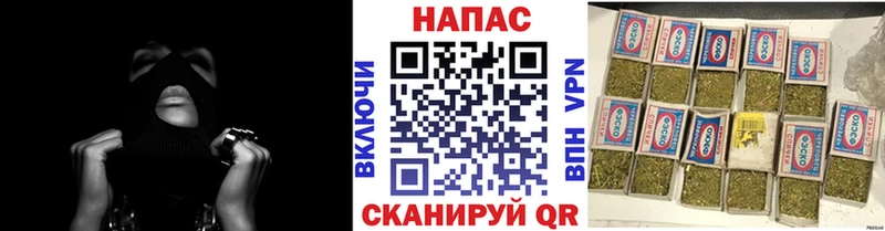 Канабис OG Kush Гулькевичи